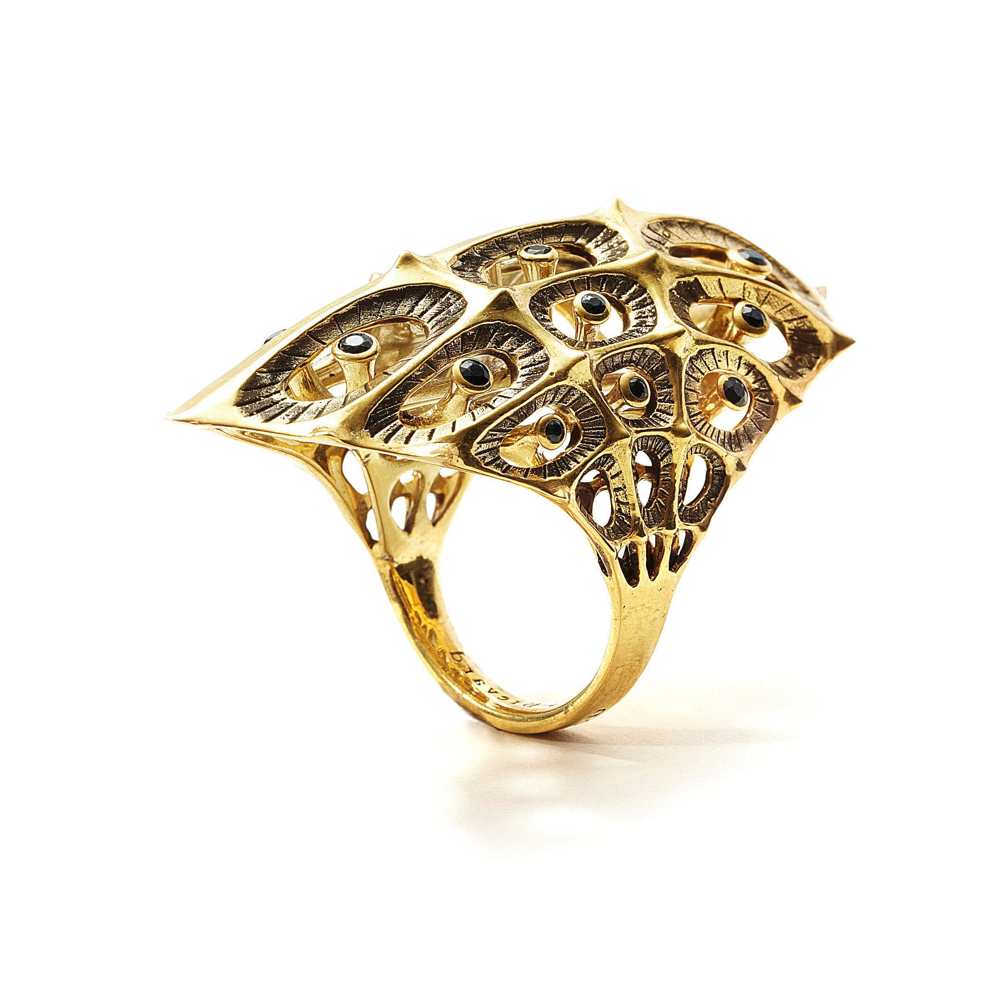 Cosmic Morphogen Black Diamond & 18K Gold Ring