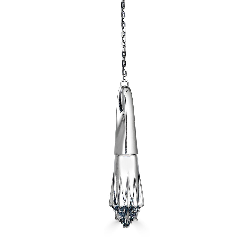 Sacred Medicine Silver Necklace