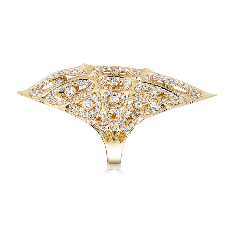Morphogen Shield Ring