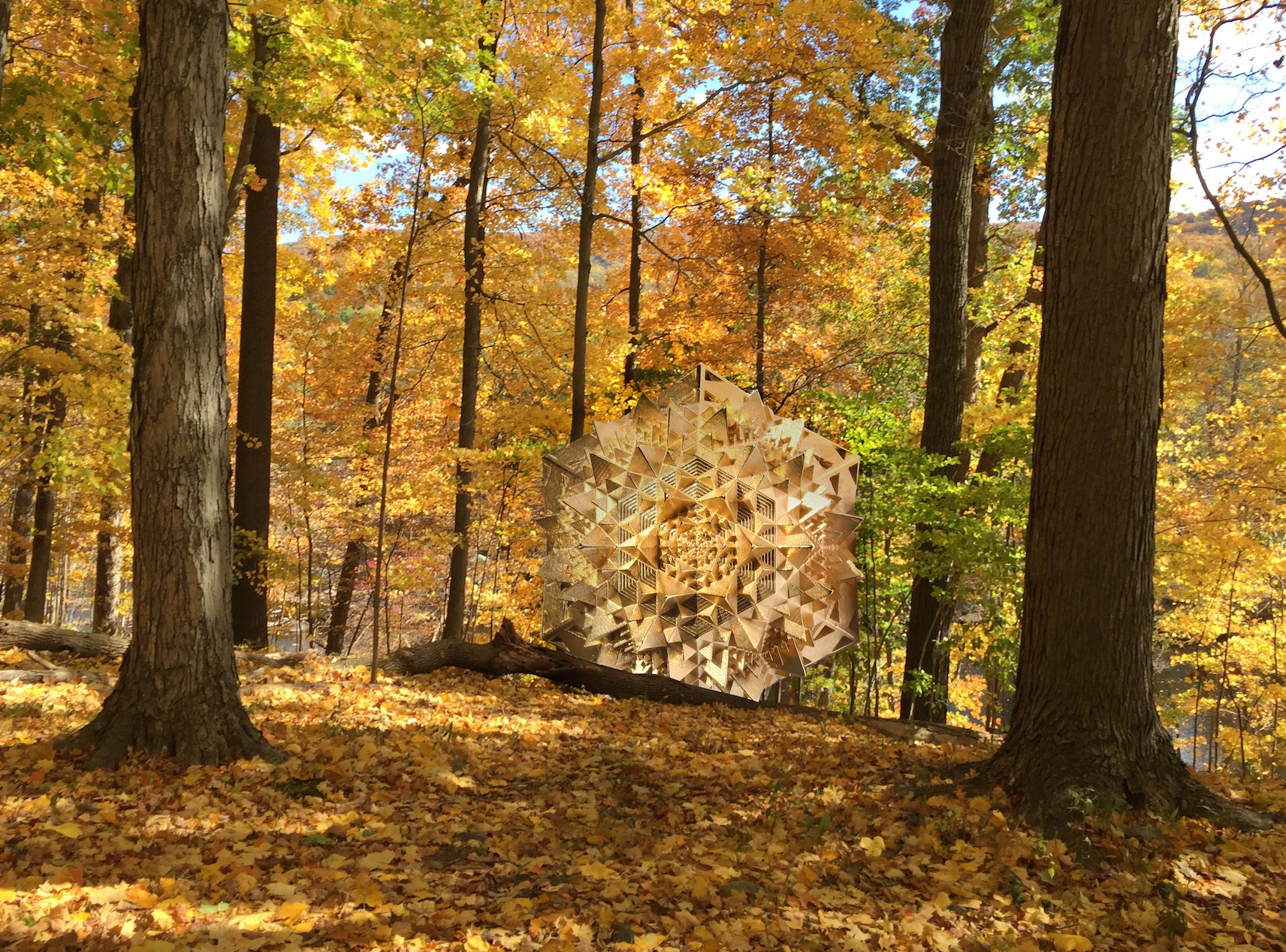 INTUITION: THOSCENE Meditation Chamber - John Brevard