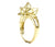 Framed Mini Diamond 18k Gold Ring