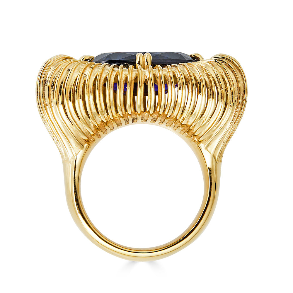 Fabri Emergence Blue Sapphire and 18k Gold Ring - John Brevard