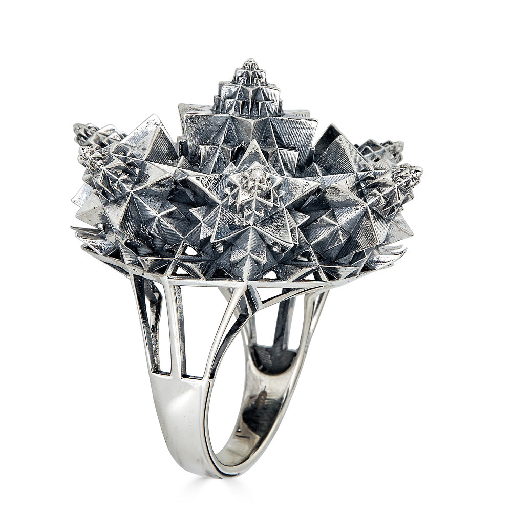 Thoscene Fractal Silver Ring - John Brevard