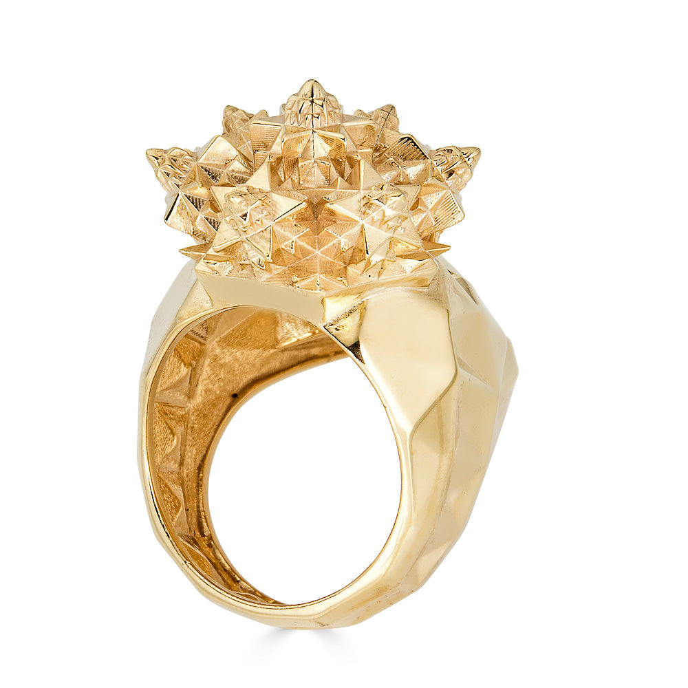 Gold Fractal Momento Mori Skull Ring - John Brevard