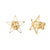 18K Gold Star Earrings